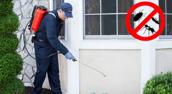 Defne Gümüşkurt İlaçlama böcek ilaçlama ve haşere kontrolü — ilaclama-tr.com